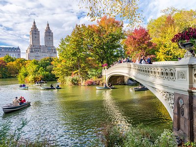 Central Park tours by Viator