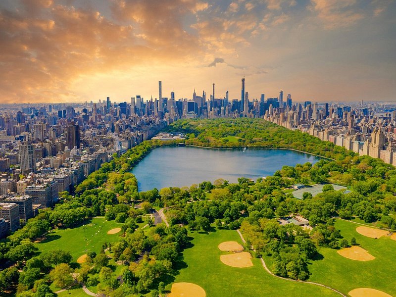 New York City sightseeing tours by Viator